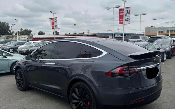 
								2019 Tesla Model X Performance Ludicrous Mode full									