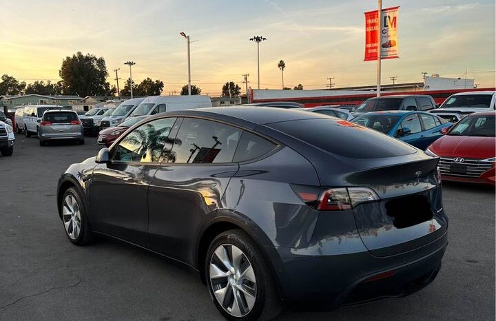 
								2020 Tesla model y Long Range full									