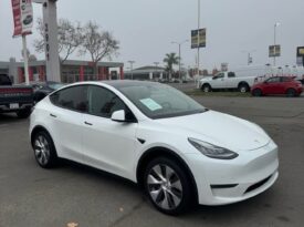 2021 Tesla model y Standard Range Sport Utility 4D