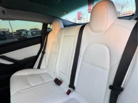 2019 Tesla model 3 Standard Range Plus Sed