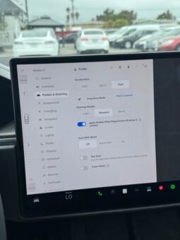 
										2022 Tesla model x Plaid Sport Utility 4D full									