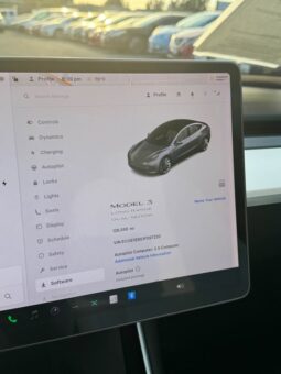
										2019 Tesla model 3 Long Range Sedan 4D full									