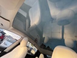 
										2022 Tesla model y Long Range Sport Utility 4D full									