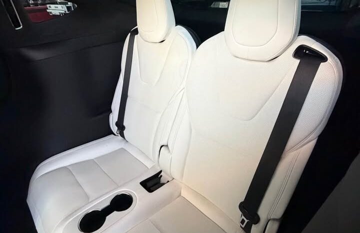 
								2022 Tesla model x Plaid Sport Utility 4D full									