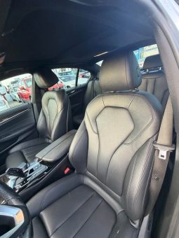 
										2019 BMW 5 series 530e iPerformance Sedan 4D full									