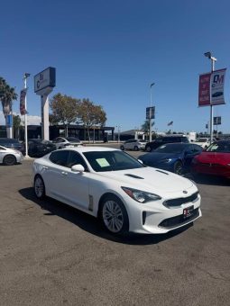 
										2019 Kia Stinger full									