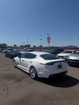
										2019 Kia Stinger full									