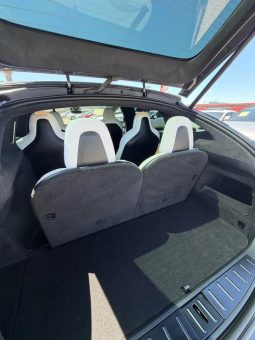
										2023 Tesla model x Plaid Sport Utility 4D full									
