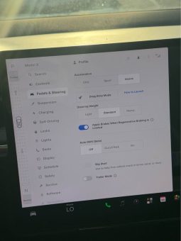 
										2025 Tesla model x Long Range Sport Utility 4D full									
