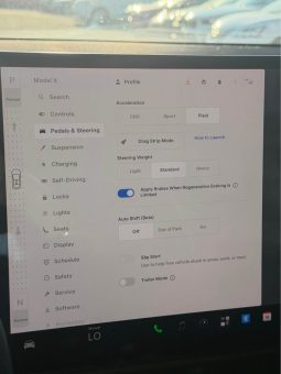 
										2022 Tesla model x Plaid Sport Utility 4D full									